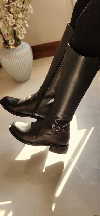 بوت اقتصادی