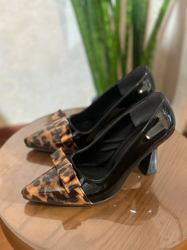 لودشکا مجلسی