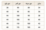 کت چرمی آستر دار زنانه مدل آیسو سایز ۳۸ تا ۴۸ اصالت کالا